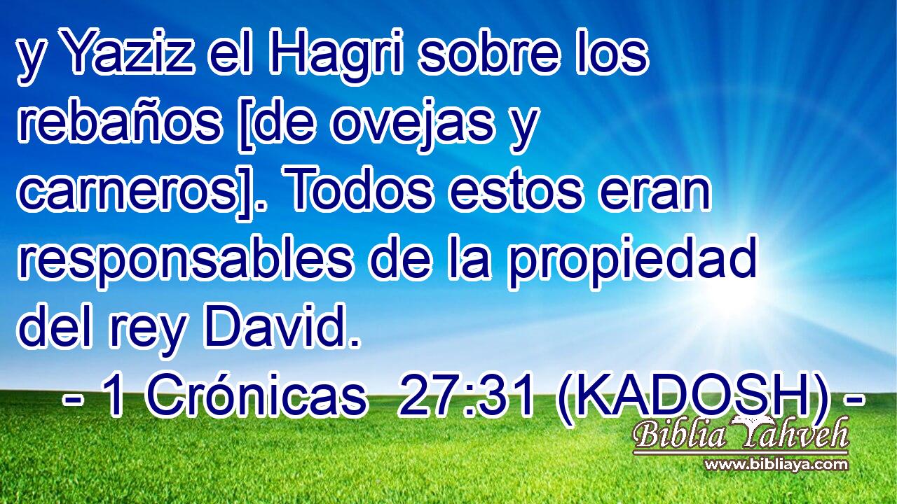  y Yaziz el Hagri sobre los rebaños [de ovejas y carneros]. Todos estos eran responsables de la propiedad del rey David. 