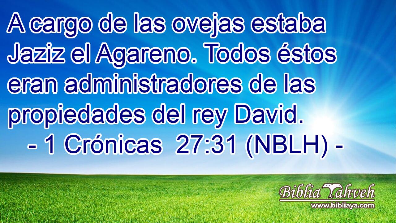  A cargo de las ovejas estaba Jaziz el Agareno. Todos éstos eran administradores de las propiedades del rey David. 