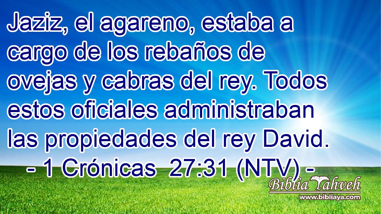 Jaziz, el agareno, estaba a cargo de los rebaños de ovejas y cabras del rey. Todos estos oficiales administraban las propiedades del rey David.