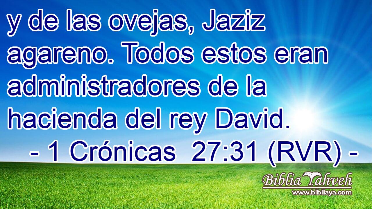 y de las ovejas, Jaziz agareno. Todos estos eran administradores de la hacienda del rey David.