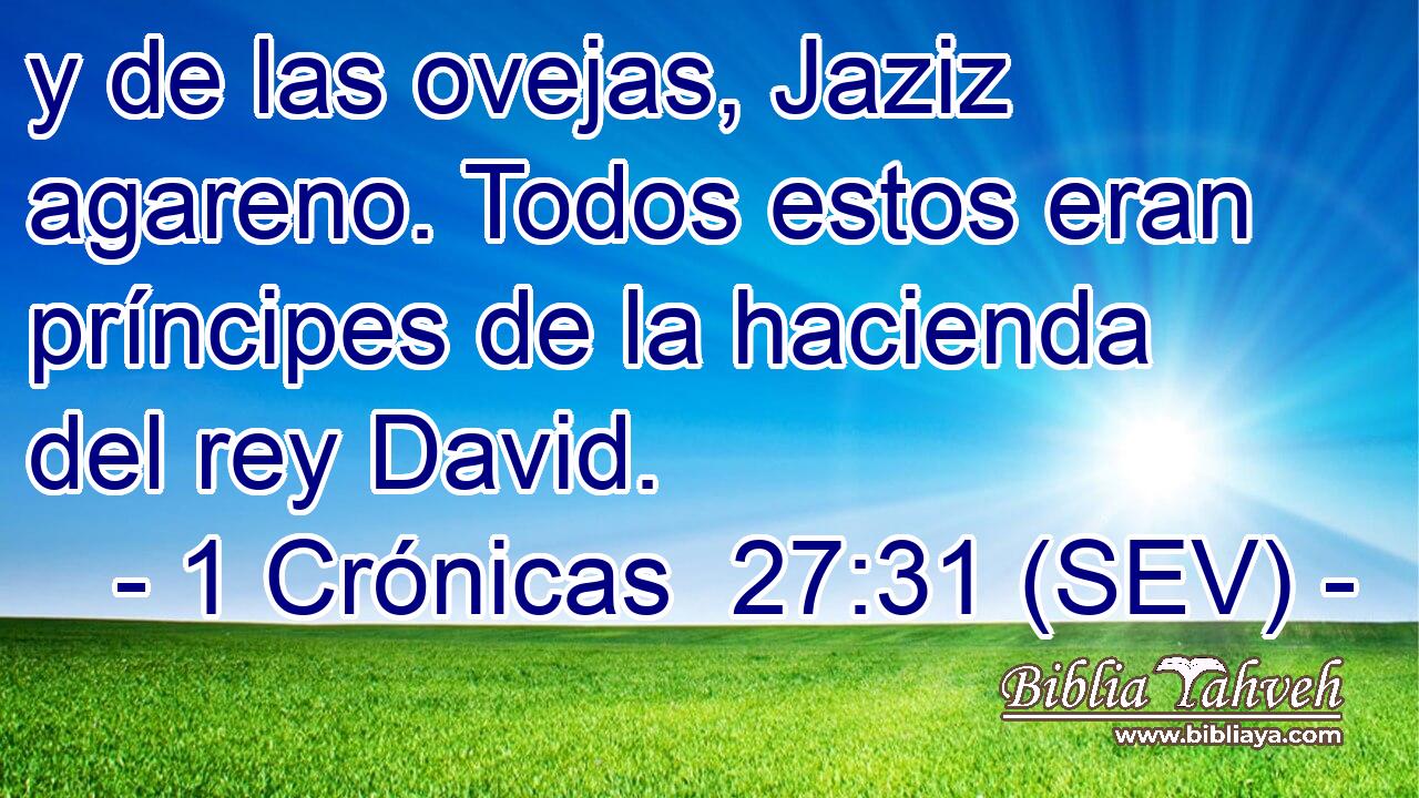 y de las ovejas, Jaziz agareno. Todos estos eran príncipes de la hacienda del rey David.