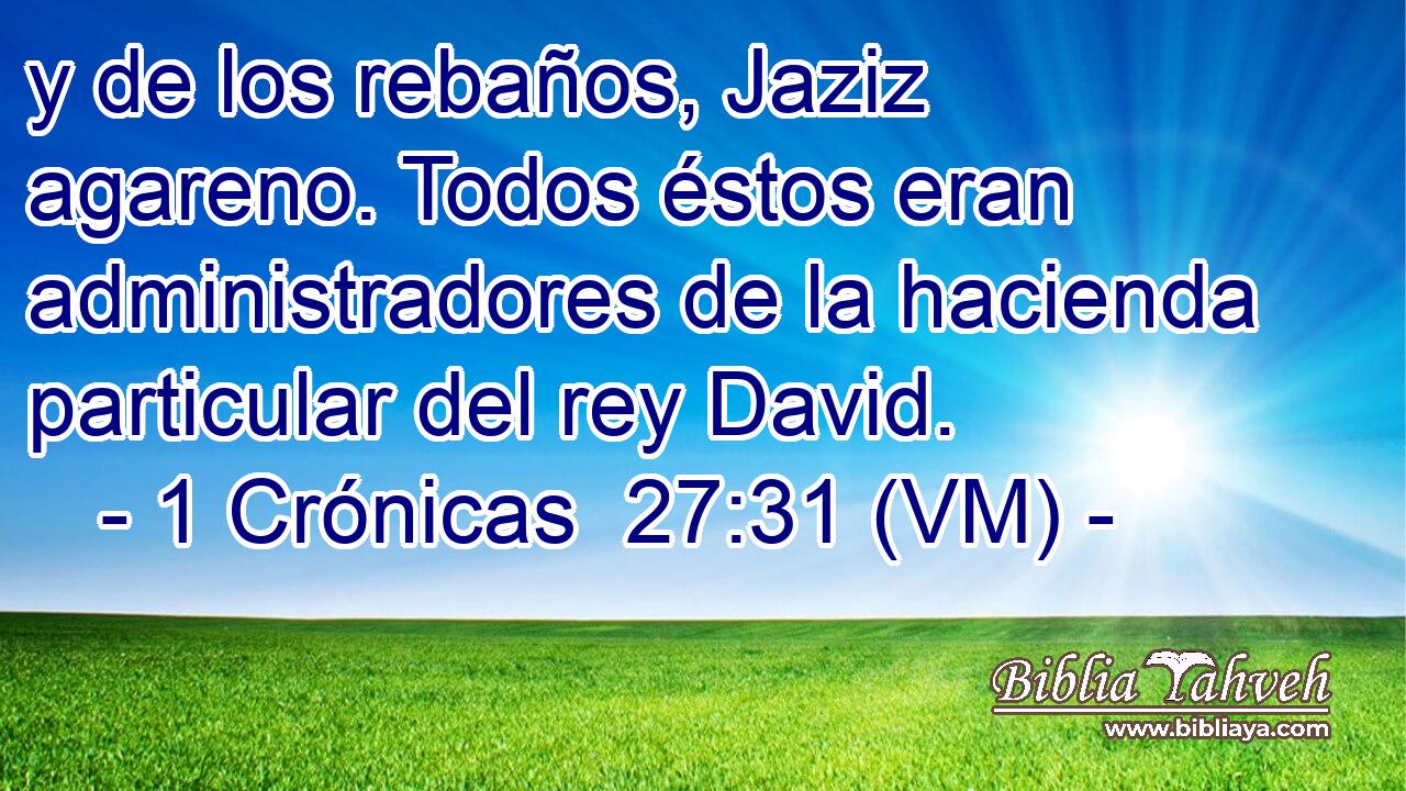  y de los rebaños, Jaziz agareno. Todos éstos eran administradores de la hacienda particular del rey David. 