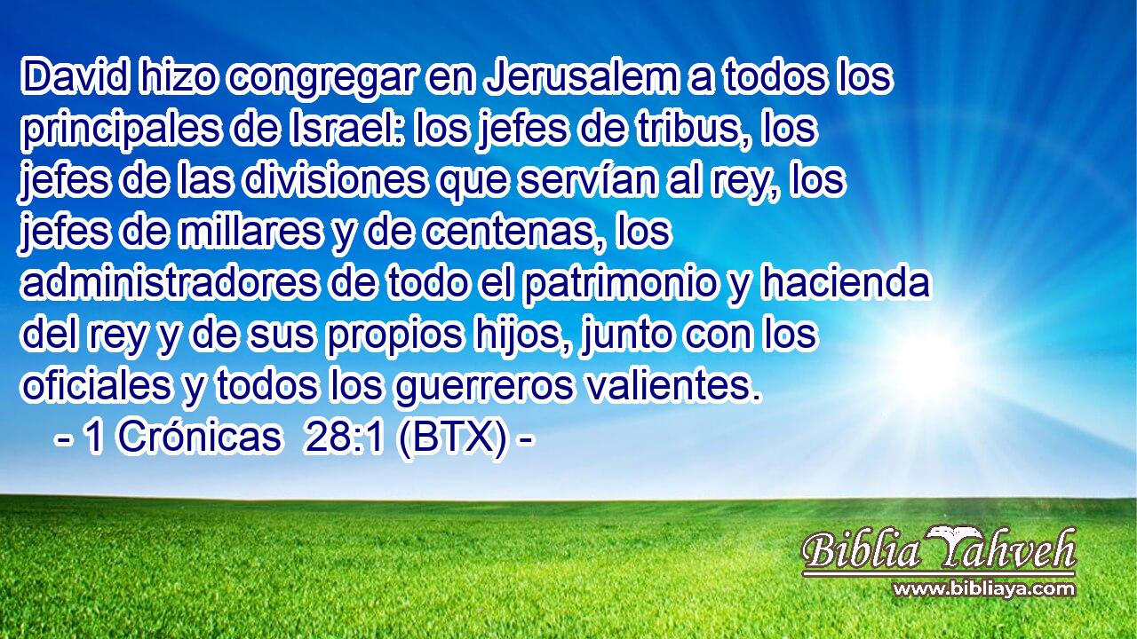 David hizo congregar en Jerusalem a todos los principales de Israel: los jefes de tribus, los jefes de las divisiones que servían al rey, los jefes de millares y de centenas, los administradores de todo el patrimonio y hacienda del rey y de sus propios hijos, junto con los oficiales y todos los guerreros valientes.