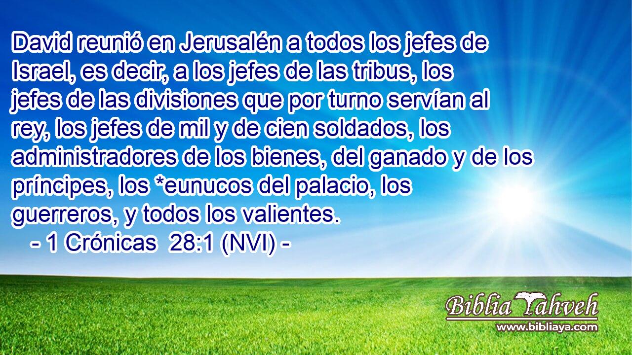  David reunió en Jerusalén a todos los jefes de Israel, es decir, a los jefes de las tribus, los jefes de las divisiones que por turno servían al rey, los jefes de mil y de cien soldados, los administradores de los bienes, del ganado y de los príncipes, los *eunucos del palacio, los guerreros, y todos los valientes. 