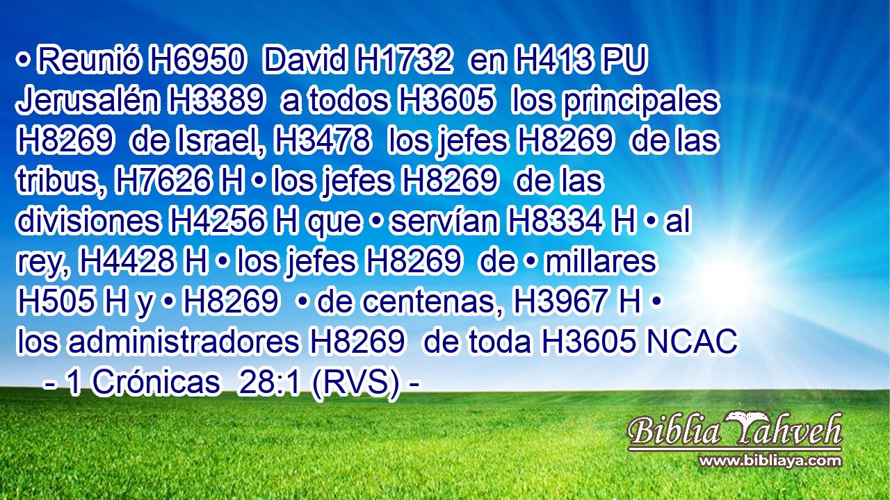 • Reunió H6950  David H1732  en H413 PU Jerusalén H3389  a todos H3605  los principales H8269  de Israel, H3478  los jefes H8269  de las tribus, H7626 H • los jefes H8269  de las divisiones H4256 H que • servían H8334 H • al rey, H4428 H • los jefes H8269  de • millares H505 H y • H8269  • de centenas, H3967 H • los administradores H8269  de toda H3605 NCAC
