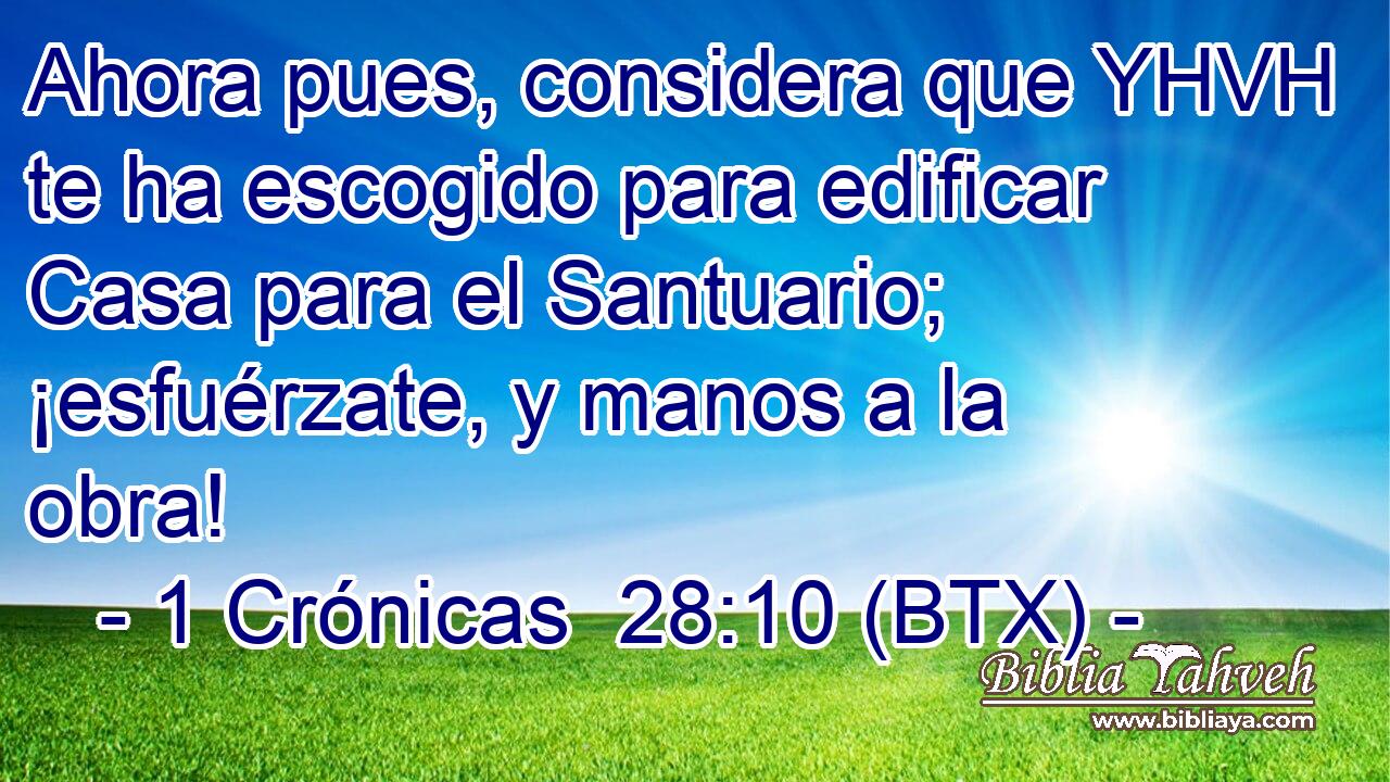 Ahora pues, considera que YHVH te ha escogido para edificar Casa para el Santuario; ¡esfuérzate, y manos a la obra!