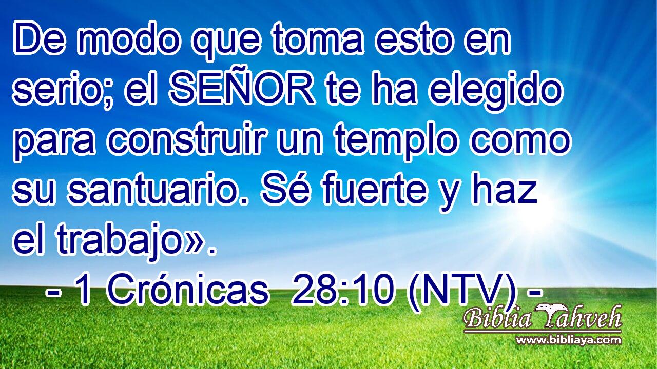 De modo que toma esto en serio; el SEÑOR te ha elegido para construir un templo como su santuario. Sé fuerte y haz el trabajo».
