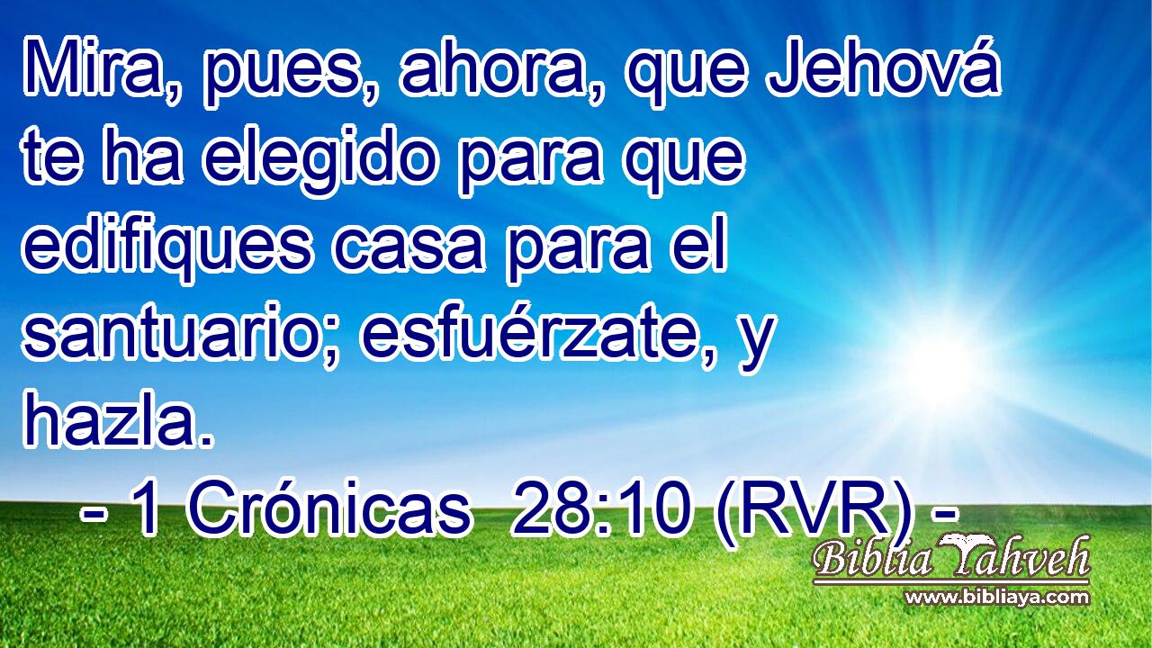 Mira, pues, ahora, que Jehová te ha elegido para que edifiques casa para el santuario; esfuérzate, y hazla.