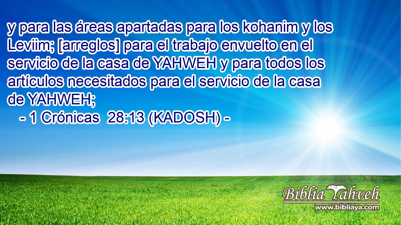  y para las áreas apartadas para los kohanim y los Leviim; [arreglos] para el trabajo envuelto en el servicio de la casa de YAHWEH y para todos los artículos necesitados para el servicio de la casa de YAHWEH; 