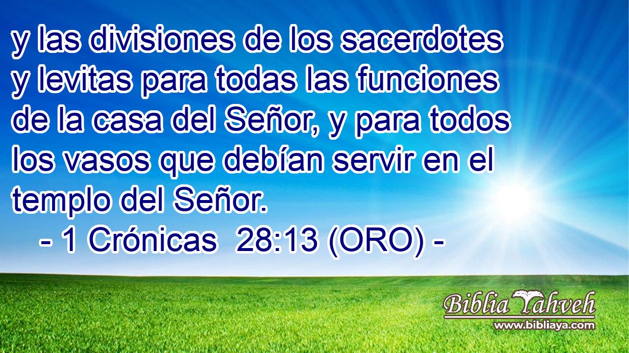  y las divisiones de los sacerdotes y levitas para todas las funciones de la casa del Señor, y para todos los vasos que debían servir en el templo del Señor. 