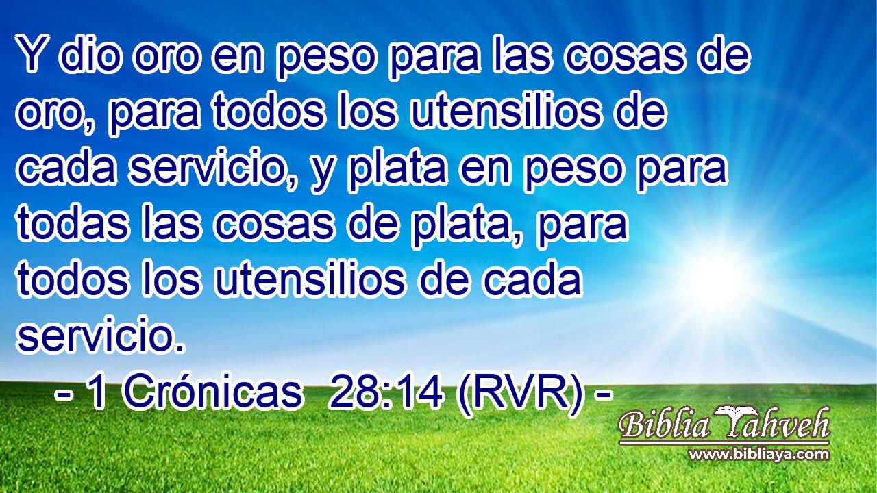 Y dio oro en peso para las cosas de oro, para todos los utensilios de cada servicio, y plata en peso para todas las cosas de plata, para todos los utensilios de cada servicio.