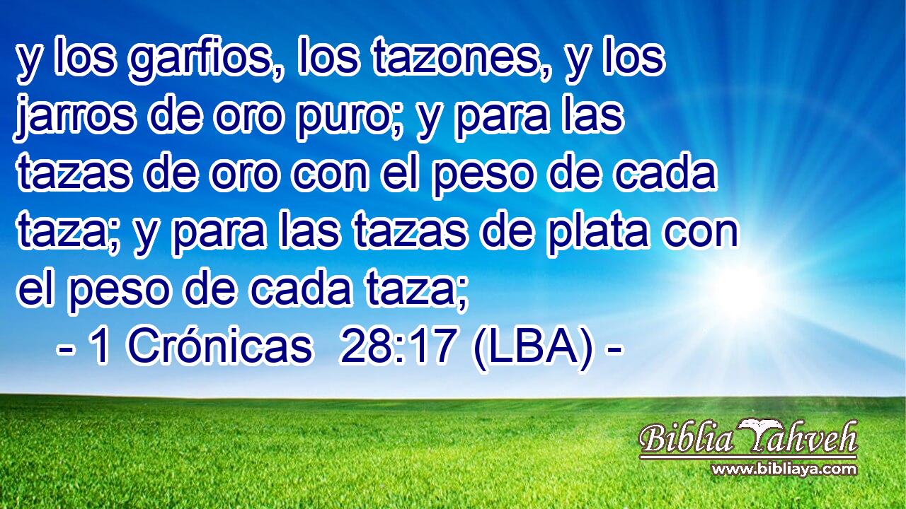 y los garfios, los tazones, y los jarros de oro puro; y para las tazas de oro con el peso de cada taza; y para las tazas de plata con el peso de cada taza;