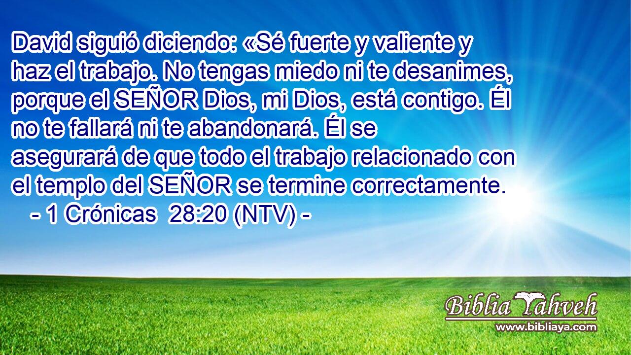 David siguió diciendo: «Sé fuerte y valiente y haz el trabajo. No tengas miedo ni te desanimes, porque el SEÑOR Dios, mi Dios, está contigo. Él no te fallará ni te abandonará. Él se asegurará de que todo el trabajo relacionado con el templo del SEÑOR se termine correctamente.