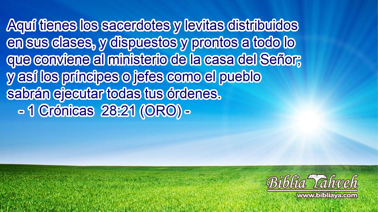  Aquí tienes los sacerdotes y levitas distribuidos en sus clases, y dispuestos y prontos a todo lo que conviene al ministerio de la casa del Señor; y así los príncipes o jefes como el pueblo sabrán ejecutar todas tus órdenes. 