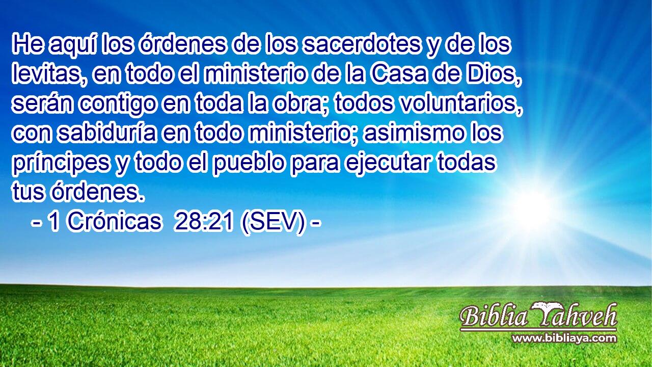 He aquí los órdenes de los sacerdotes y de los levitas, en todo el ministerio de la Casa de Dios, serán contigo en toda la obra; todos voluntarios, con sabiduría en todo ministerio; asimismo los príncipes y todo el pueblo para ejecutar todas tus órdenes.