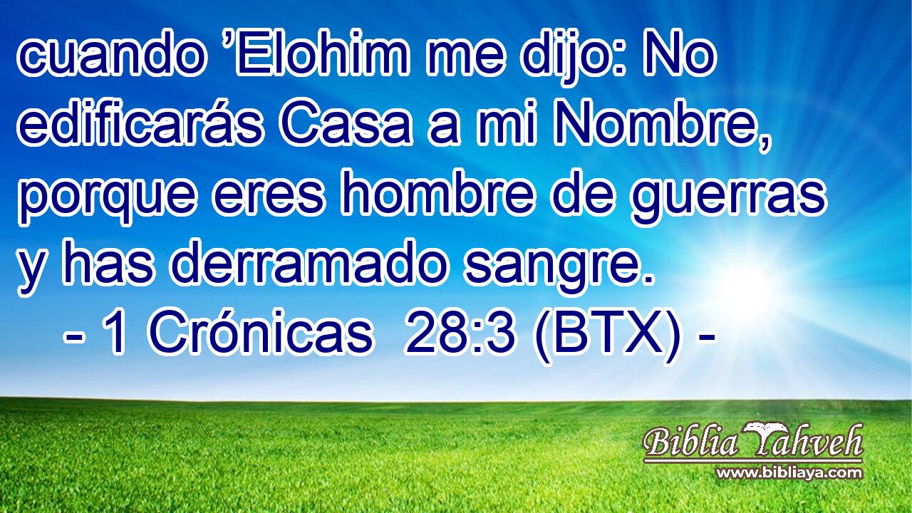 cuando ’Elohim me dijo: No edificarás Casa a mi Nombre, porque eres hombre de guerras y has derramado sangre.