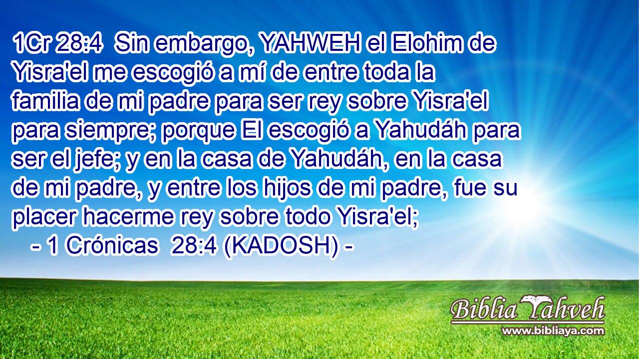  Sin embargo, YAHWEH el Elohim de Yisra'el me escogió a mí de entre toda la familia de mi padre para ser rey sobre Yisra'el para siempre; porque El escogió a Yahudáh para ser el jefe; y en la casa de Yahudáh, en la casa de mi padre, y entre los hijos de mi padre, fue su placer hacerme rey sobre todo Yisra'el; 