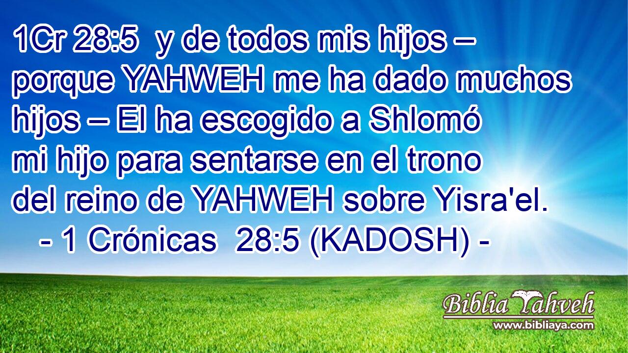 y de todos mis hijos – porque YAHWEH me ha dado muchos hijos – El ha escogido a Shlomó mi hijo para sentarse en el trono del reino de YAHWEH sobre Yisra'el. 