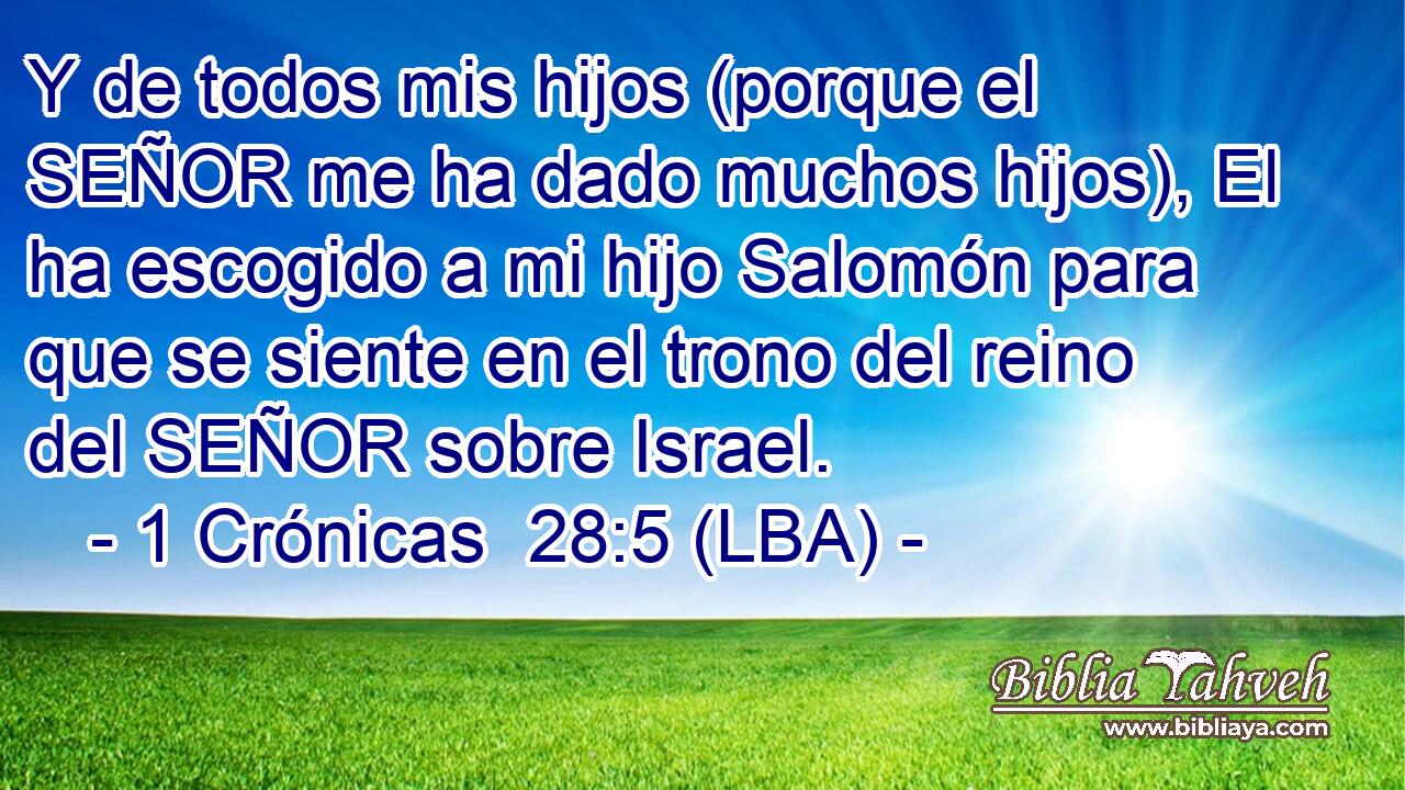 Y de todos mis hijos (porque el SEÑOR me ha dado muchos hijos), El ha escogido a mi hijo Salomón para que se siente en el trono del reino del SEÑOR sobre Israel.