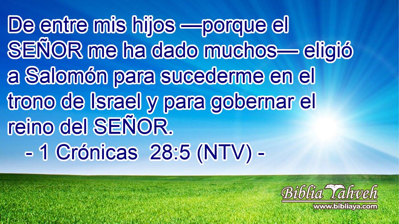 De entre mis hijos —porque el SEÑOR me ha dado muchos— eligió a Salomón para sucederme en el trono de Israel y para gobernar el reino del SEÑOR.