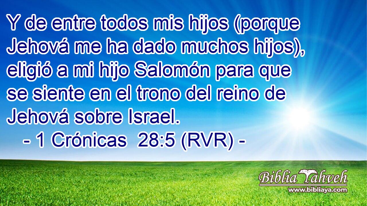 Y de entre todos mis hijos (porque Jehová me ha dado muchos hijos), eligió a mi hijo Salomón para que se siente en el trono del reino de Jehová sobre Israel.