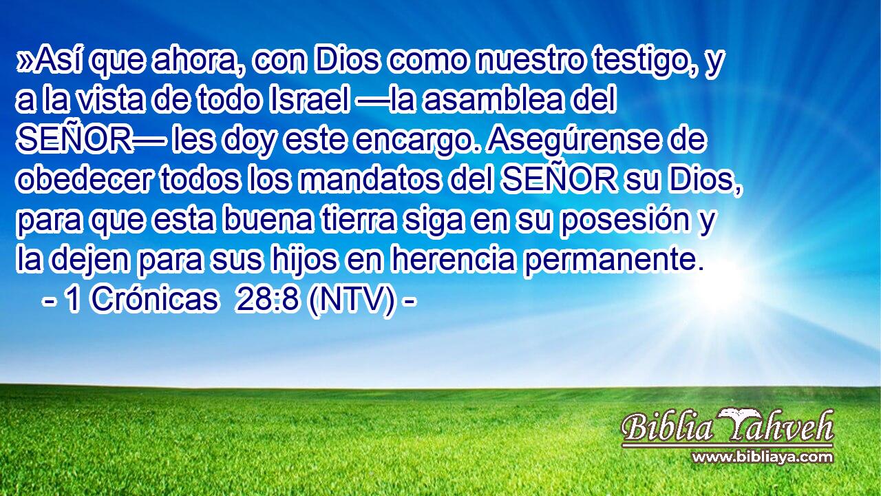 »Así que ahora, con Dios como nuestro testigo, y a la vista de todo Israel —la asamblea del SEÑOR— les doy este encargo. Asegúrense de obedecer todos los mandatos del SEÑOR su Dios, para que esta buena tierra siga en su posesión y la dejen para sus hijos en herencia permanente.
