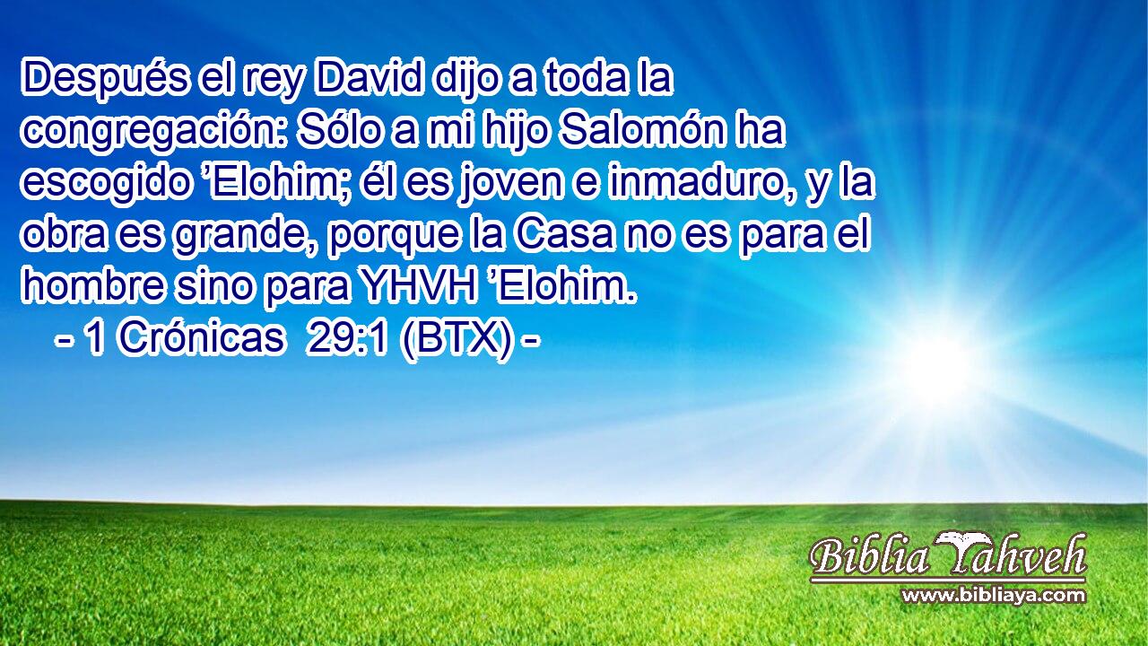 Después el rey David dijo a toda la congregación: Sólo a mi hijo Salomón ha escogido ’Elohim; él es joven e inmaduro, y la obra es grande, porque la Casa no es para el hombre sino para YHVH ’Elohim.