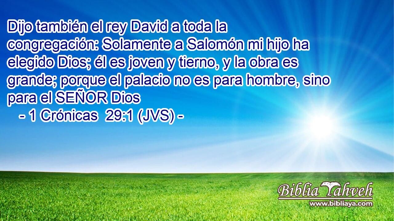 Dijo también el rey David a toda la congregación: Solamente a Salomón mi hijo ha elegido Dios; él es joven y tierno, y la obra es grande; porque el palacio no es para hombre, sino para el SEÑOR Dios