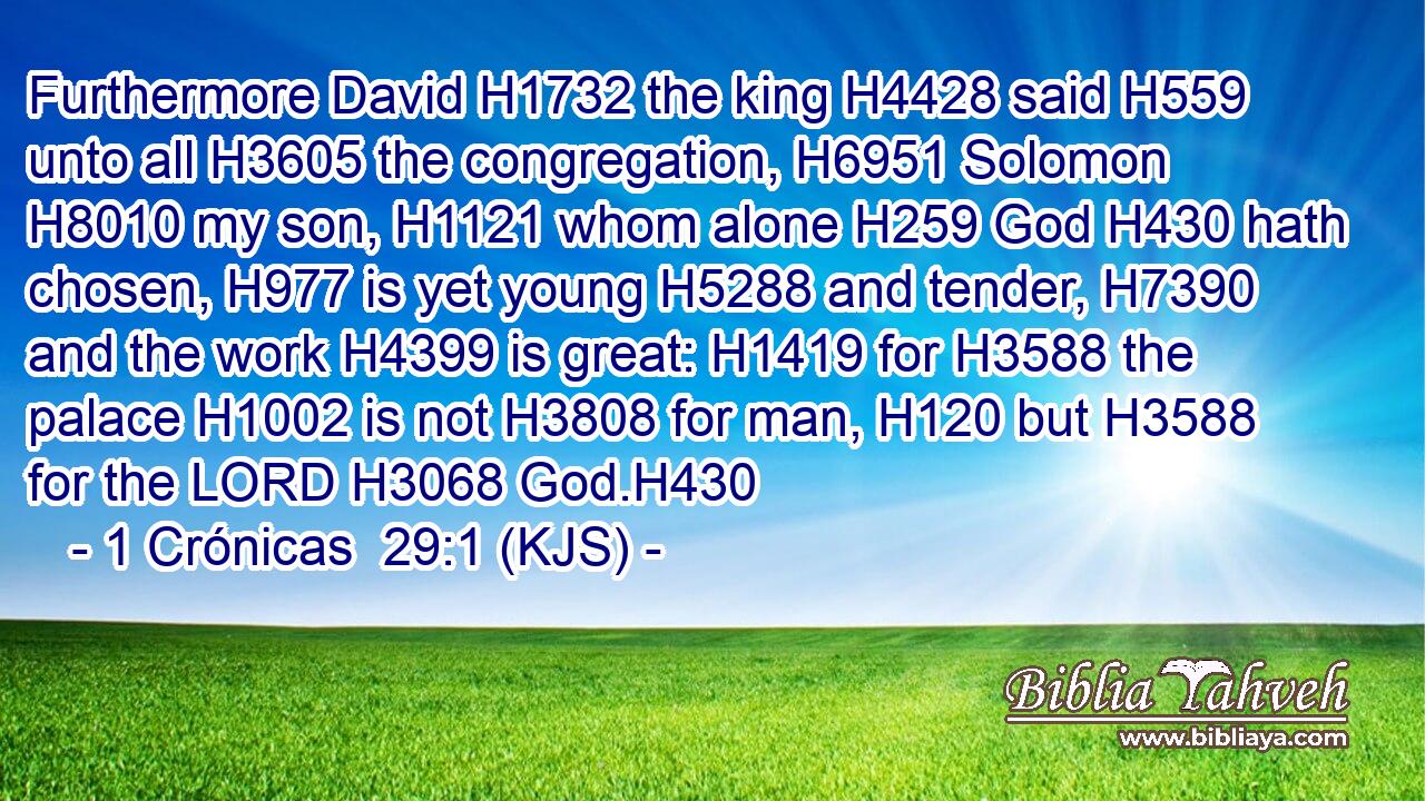 Furthermore David H1732 the king H4428 said H559 unto all H3605 the congregation, H6951 Solomon H8010 my son, H1121 whom alone H259 God H430 hath chosen, H977 is yet young H5288 and tender, H7390 and the work H4399 is great: H1419 for H3588 the palace H1002 is not H3808 for man, H120 but H3588 for the LORD H3068 God.H430