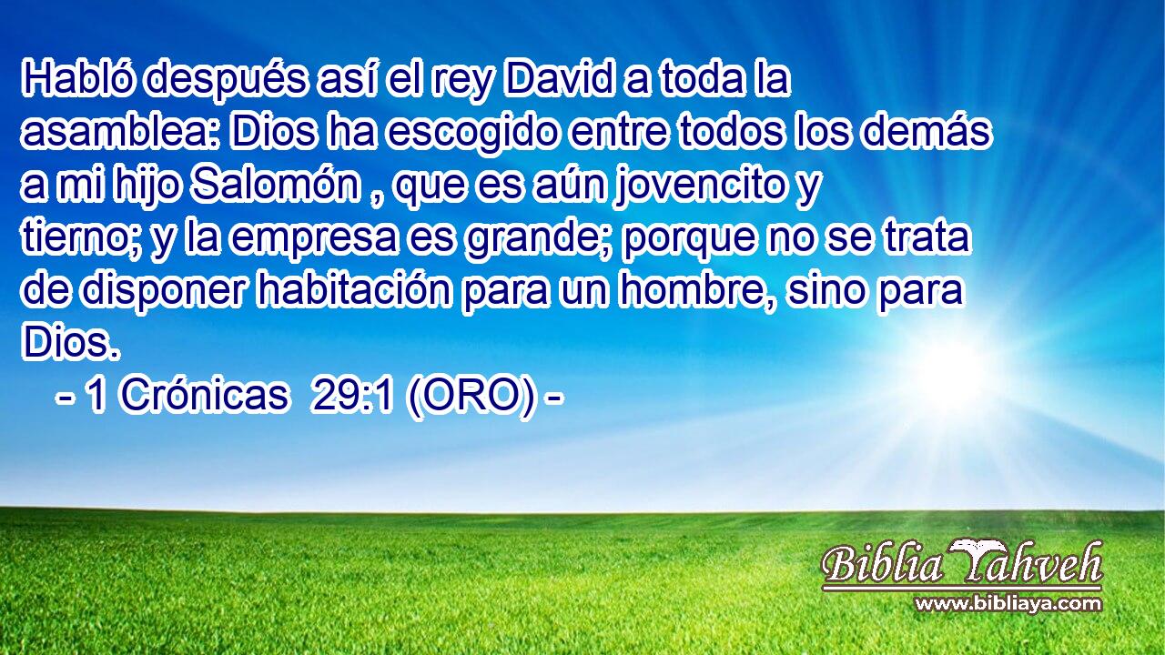  Habló después así el rey David a toda la asamblea: Dios ha escogido entre todos los demás a mi hijo Salomón , que es aún jovencito y tierno; y la empresa es grande; porque no se trata de disponer habitación para un hombre, sino para Dios. 