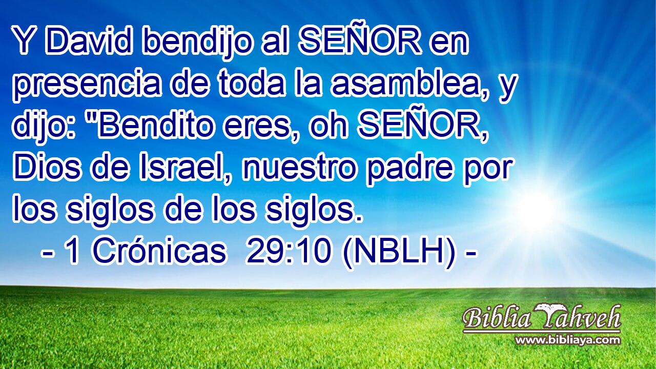  Y David bendijo al SEÑOR en presencia de toda la asamblea, y dijo: 