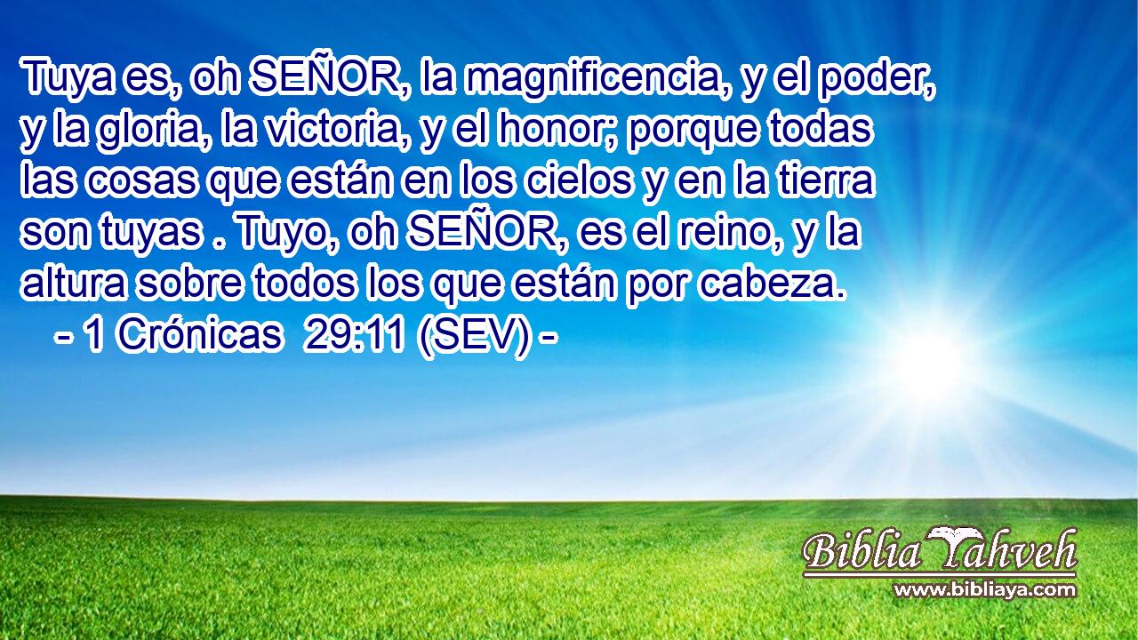 Tuya es, oh SEÑOR, la magnificencia, y el poder, y la gloria, la victoria, y el honor; porque todas las cosas que están en los cielos y en la tierra son tuyas . Tuyo, oh SEÑOR, es el reino, y la altura sobre todos los que están por cabeza.