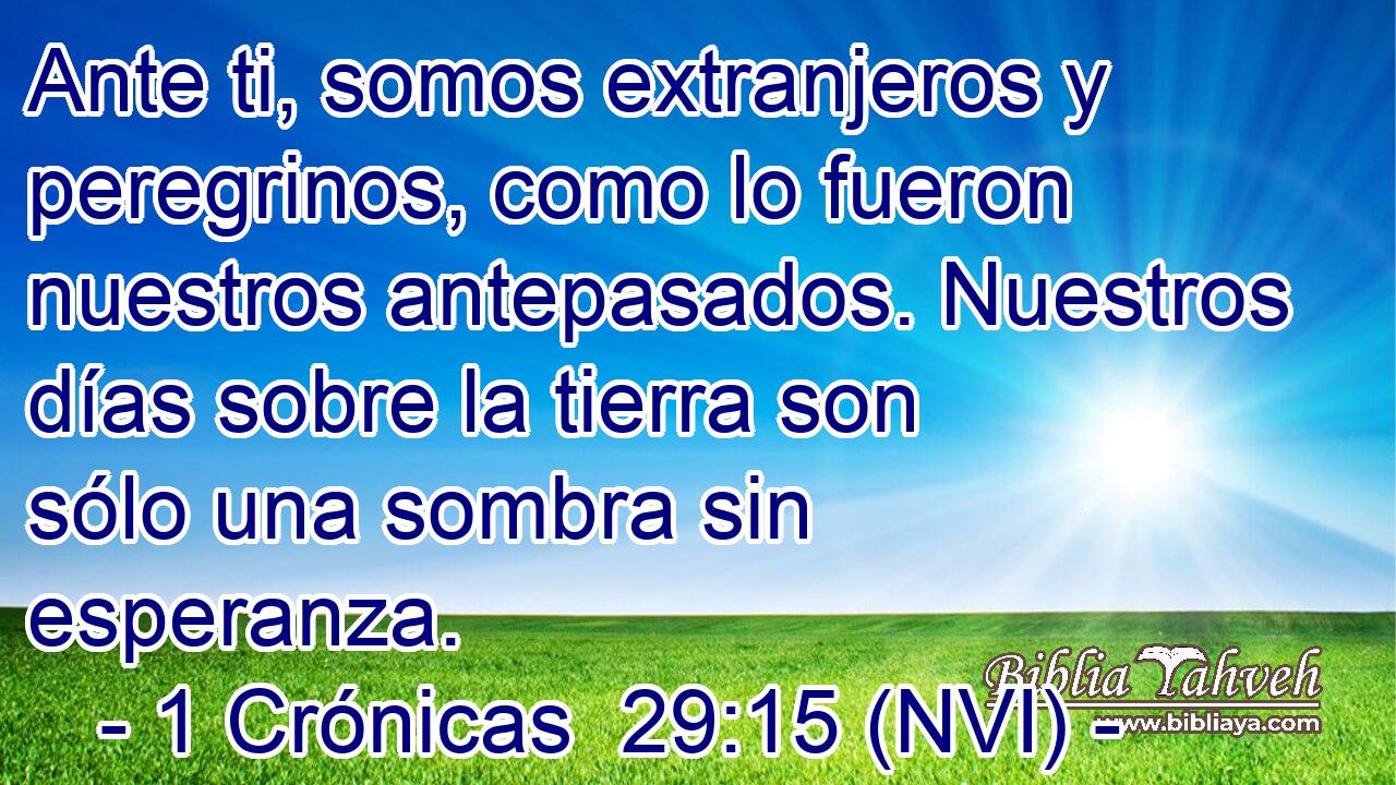  Ante ti, somos extranjeros y peregrinos, como lo fueron nuestros antepasados. Nuestros días sobre la tierra son sólo una sombra sin esperanza. 