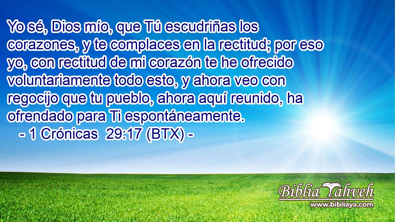 Yo sé, Dios mío, que Tú escudriñas los corazones, y te complaces en la rectitud; por eso yo, con rectitud de mi corazón te he ofrecido voluntariamente todo esto, y ahora veo con regocijo que tu pueblo, ahora aquí reunido, ha ofrendado para Ti espontáneamente.