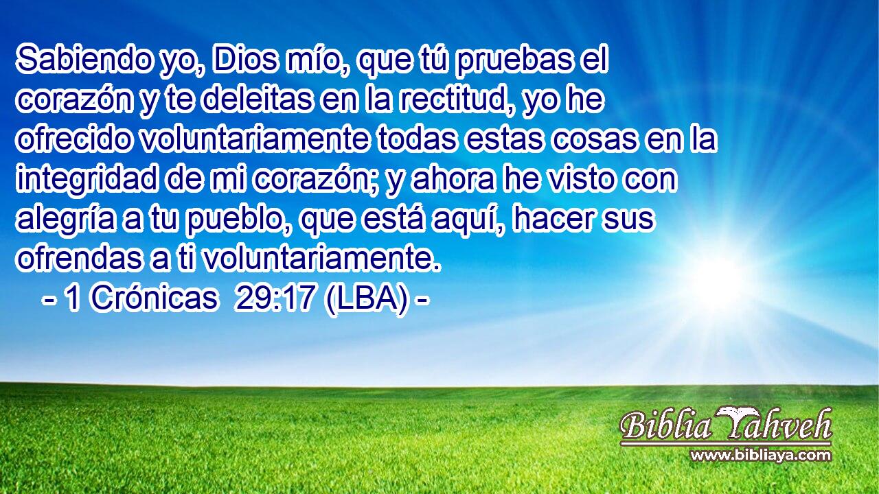 Sabiendo yo, Dios mío, que tú pruebas el corazón y te deleitas en la rectitud, yo he ofrecido voluntariamente todas estas cosas en la integridad de mi corazón; y ahora he visto con alegría a tu pueblo, que está aquí, hacer sus ofrendas a ti voluntariamente.