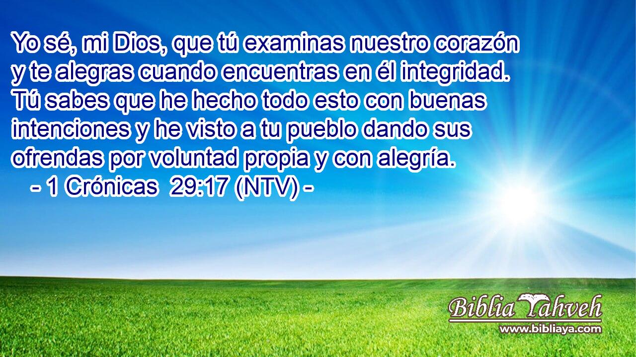 Yo sé, mi Dios, que tú examinas nuestro corazón y te alegras cuando encuentras en él integridad. Tú sabes que he hecho todo esto con buenas intenciones y he visto a tu pueblo dando sus ofrendas por voluntad propia y con alegría.