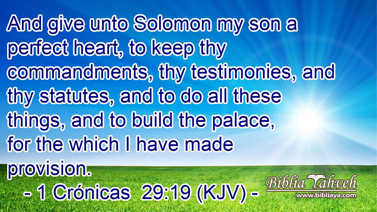 And give unto Solomon my son a perfect heart, to keep thy commandments, thy testimonies, and thy statutes, and to do all these things, and to build the palace, for the which I have made provision.