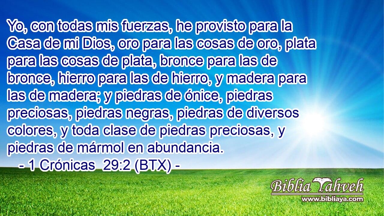 Yo, con todas mis fuerzas, he provisto para la Casa de mi Dios, oro para las cosas de oro, plata para las cosas de plata, bronce para las de bronce, hierro para las de hierro, y madera para las de madera; y piedras de ónice, piedras preciosas, piedras negras, piedras de diversos colores, y toda clase de piedras preciosas, y piedras de mármol en abundancia.