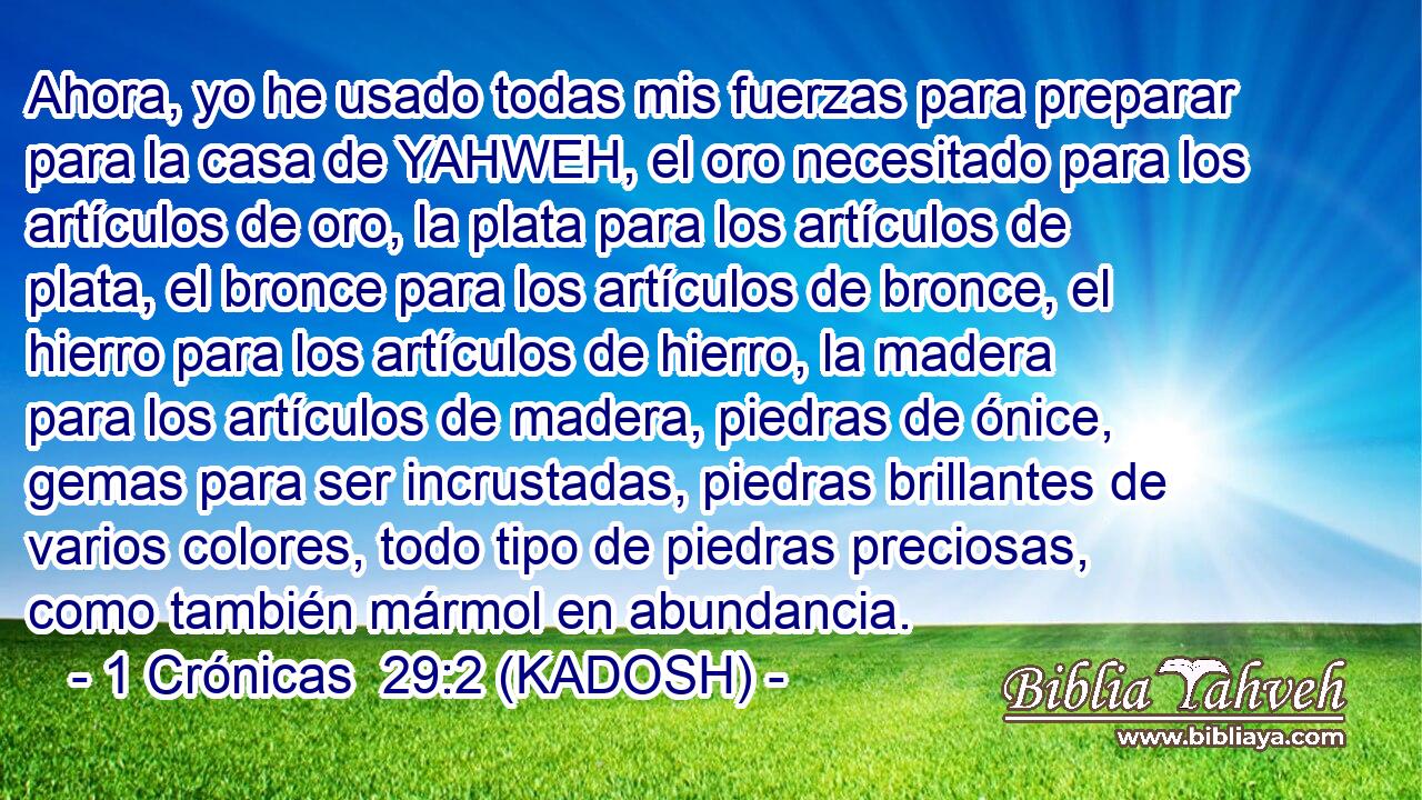  Ahora, yo he usado todas mis fuerzas para preparar para la casa de YAHWEH, el oro necesitado para los artículos de oro, la plata para los artículos de plata, el bronce para los artículos de bronce, el hierro para los artículos de hierro, la madera para los artículos de madera, piedras de ónice, gemas para ser incrustadas, piedras brillantes de varios colores, todo tipo de piedras preciosas, como también mármol en abundancia. 