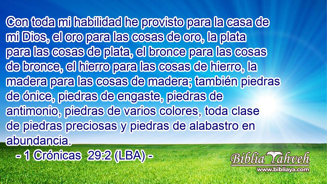 Con toda mi habilidad he provisto para la casa de mi Dios, el oro para las cosas de oro, la plata para las cosas de plata, el bronce para las cosas de bronce, el hierro para las cosas de hierro, la madera para las cosas de madera; también piedras de ónice, piedras de engaste, piedras de antimonio, piedras de varios colores, toda clase de piedras preciosas y piedras de alabastro en abundancia.