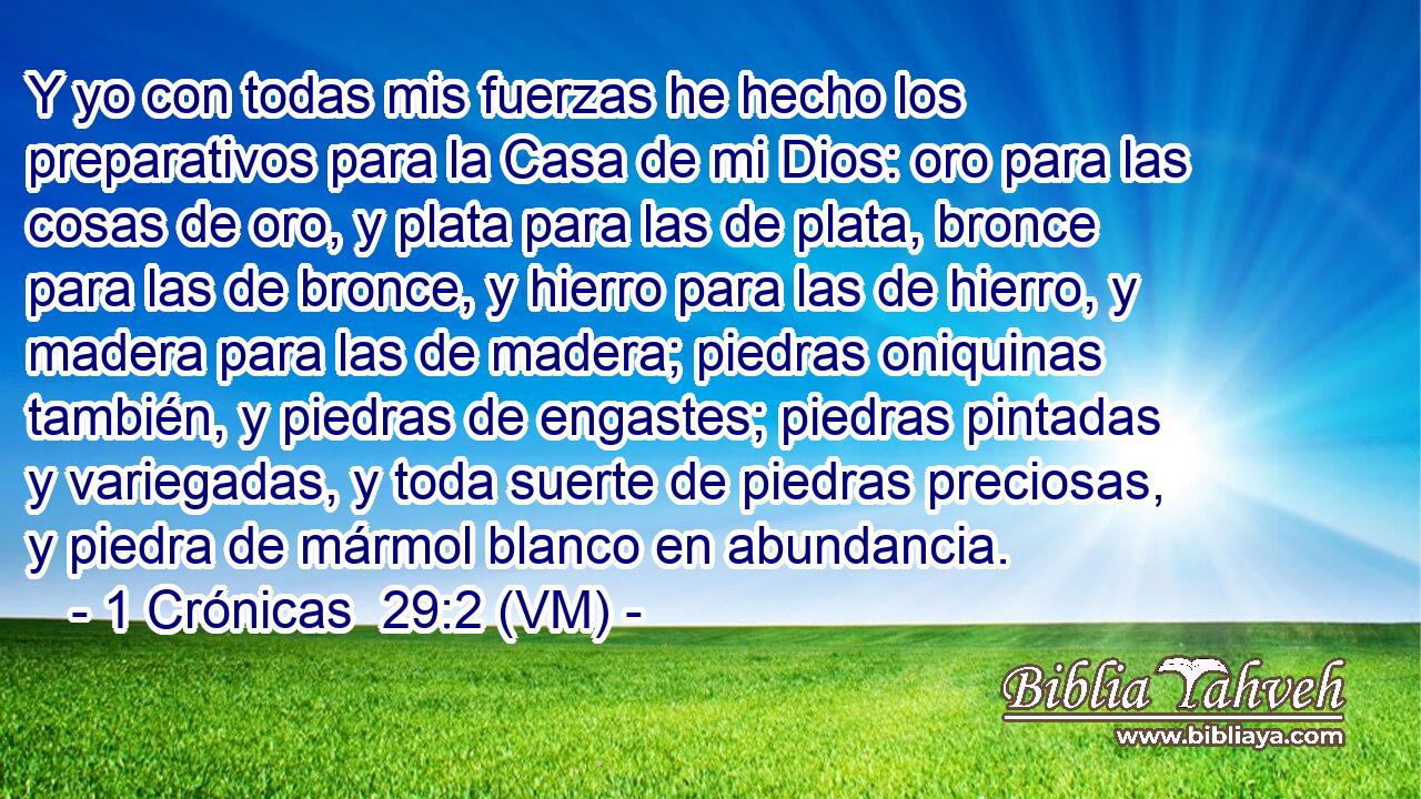  Y yo con todas mis fuerzas he hecho los preparativos para la Casa de mi Dios: oro para las cosas de oro, y plata para las de plata, bronce para las de bronce, y hierro para las de hierro, y madera para las de madera; piedras oniquinas también, y piedras de engastes; piedras pintadas y variegadas, y toda suerte de piedras preciosas, y piedra de mármol blanco en abundancia. 
