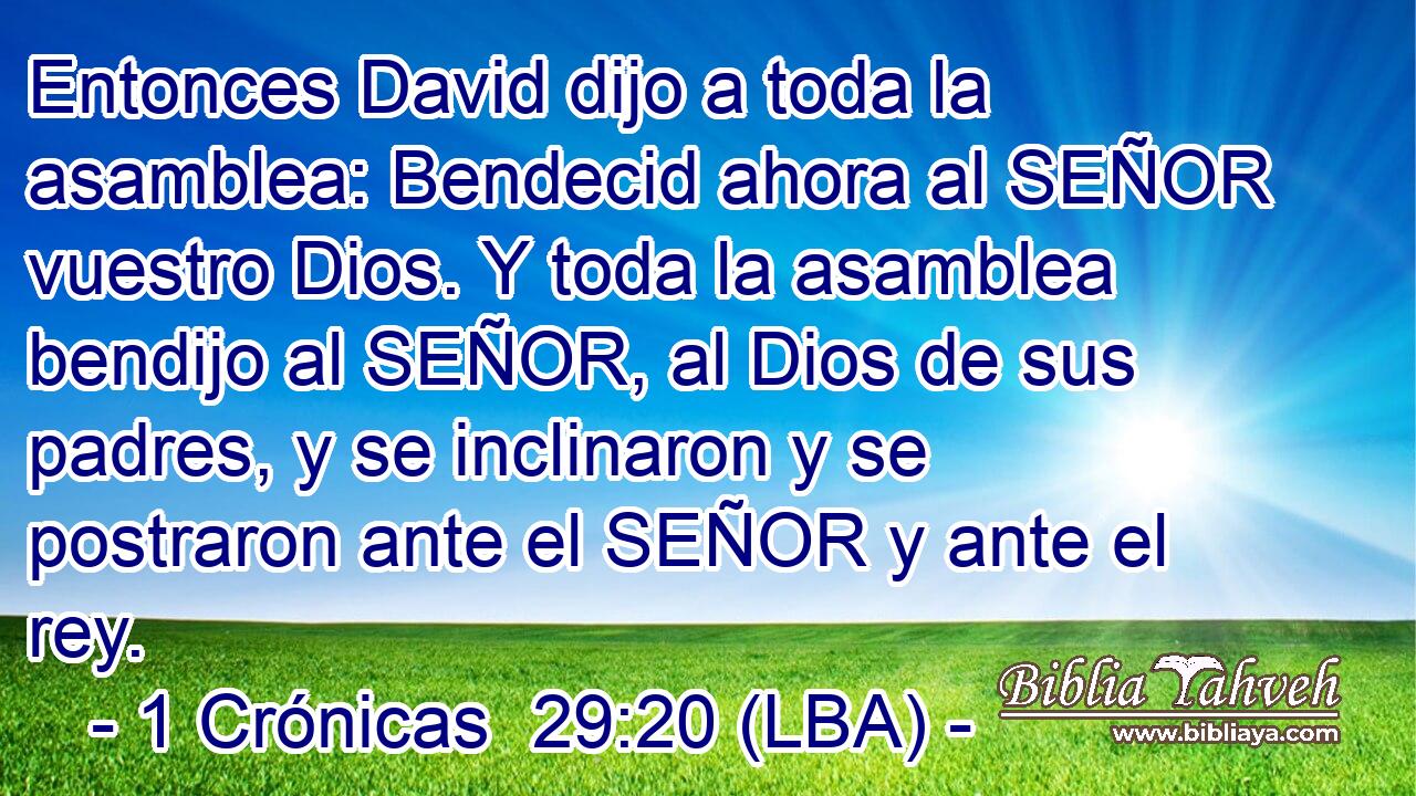 Entonces David dijo a toda la asamblea: Bendecid ahora al SEÑOR vuestro Dios. Y toda la asamblea bendijo al SEÑOR, al Dios de sus padres, y se inclinaron y se postraron ante el SEÑOR y ante el rey.