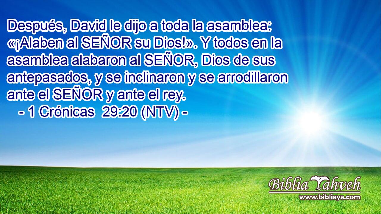 Después, David le dijo a toda la asamblea: «¡Alaben al SEÑOR su Dios!». Y todos en la asamblea alabaron al SEÑOR, Dios de sus antepasados, y se inclinaron y se arrodillaron ante el SEÑOR y ante el rey.