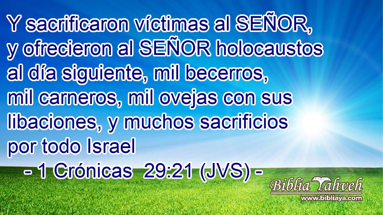 Y sacrificaron víctimas al SEÑOR, y ofrecieron al SEÑOR holocaustos al día siguiente, mil becerros, mil carneros, mil ovejas con sus libaciones, y muchos sacrificios por todo Israel