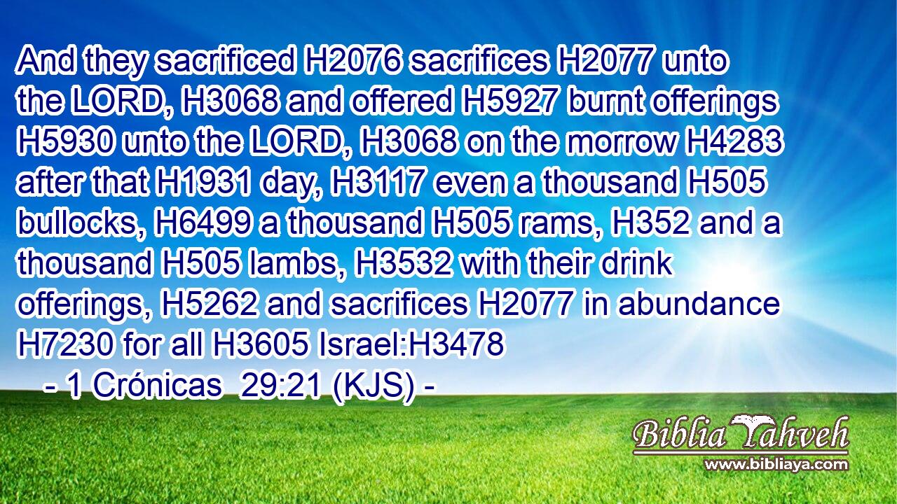 And they sacrificed H2076 sacrifices H2077 unto the LORD, H3068 and offered H5927 burnt offerings H5930 unto the LORD, H3068 on the morrow H4283 after that H1931 day, H3117 even a thousand H505 bullocks, H6499 a thousand H505 rams, H352 and a thousand H505 lambs, H3532 with their drink offerings, H5262 and sacrifices H2077 in abundance H7230 for all H3605 Israel:H3478