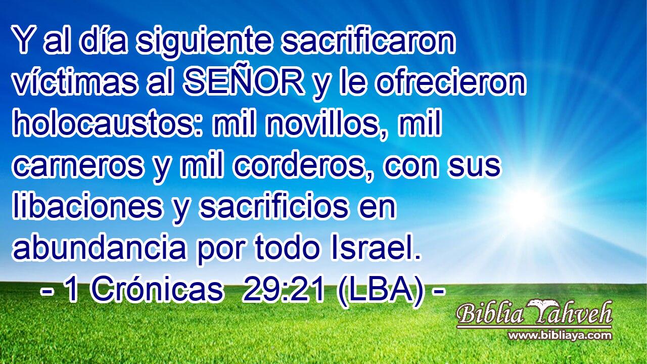 Y al día siguiente sacrificaron víctimas al SEÑOR y le ofrecieron holocaustos: mil novillos, mil carneros y mil corderos, con sus libaciones y sacrificios en abundancia por todo Israel.