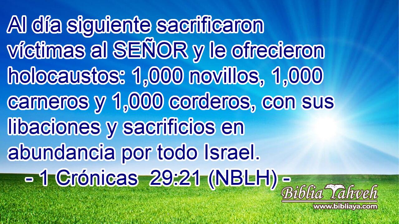  Al día siguiente sacrificaron víctimas al SEÑOR y le ofrecieron holocaustos: 1,000 novillos, 1,000 carneros y 1,000 corderos, con sus libaciones y sacrificios en abundancia por todo Israel. 