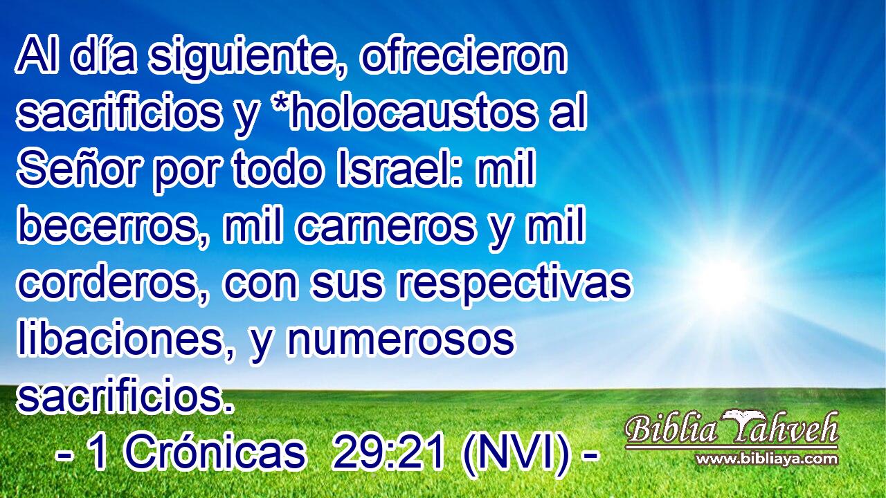  Al día siguiente, ofrecieron sacrificios y *holocaustos al Señor por todo Israel: mil becerros, mil carneros y mil corderos, con sus respectivas libaciones, y numerosos sacrificios. 