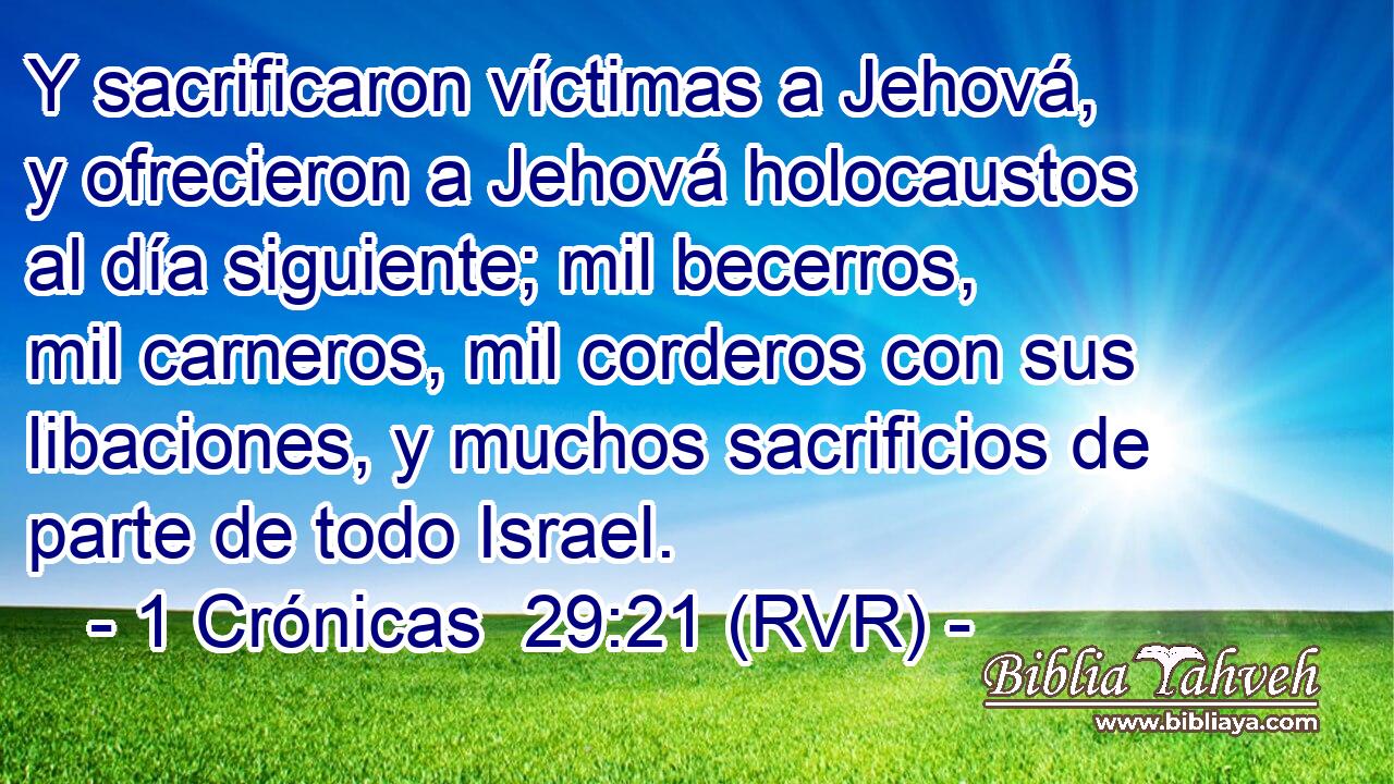 Y sacrificaron víctimas a Jehová, y ofrecieron a Jehová holocaustos al día siguiente; mil becerros, mil carneros, mil corderos con sus libaciones, y muchos sacrificios de parte de todo Israel.