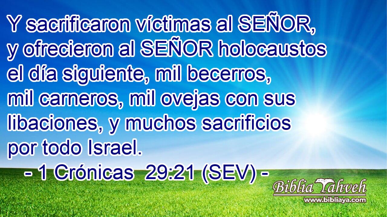 Y sacrificaron víctimas al SEÑOR, y ofrecieron al SEÑOR holocaustos el día siguiente, mil becerros, mil carneros, mil ovejas con sus libaciones, y muchos sacrificios por todo Israel.
